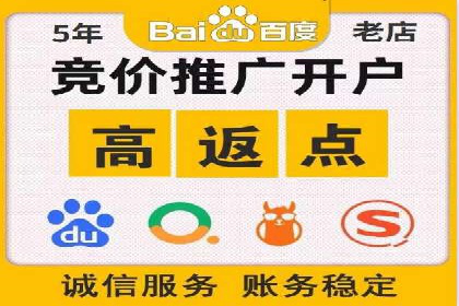 竞价推广成功案例解析